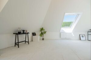 Ambiente DG 1